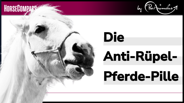 Mehr über den Artikel erfahren Die Anti-Rüpel-Pferde-Pille