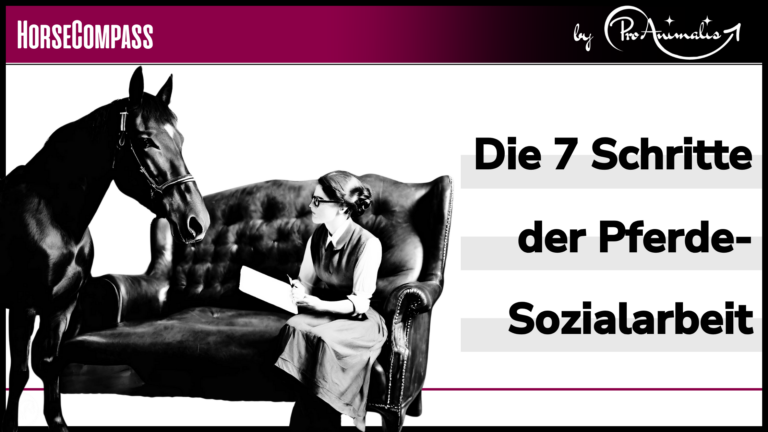 Mehr über den Artikel erfahren Die 7 Schritte zum Pferde-Sozialarbeiter