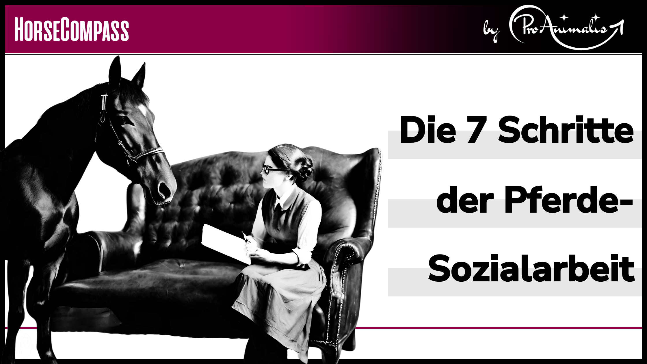 Du betrachtest gerade Die 7 Schritte zum Pferde-Sozialarbeiter