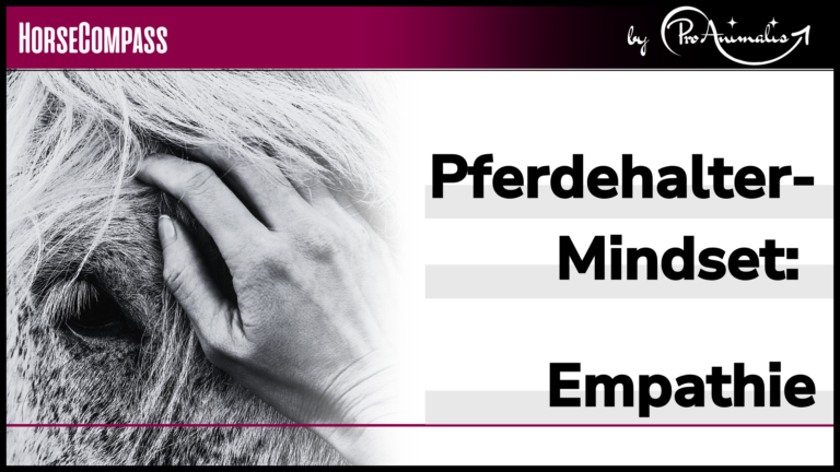 Mehr über den Artikel erfahren Pferdehalter-Mindset, Teil 2 – Empathie