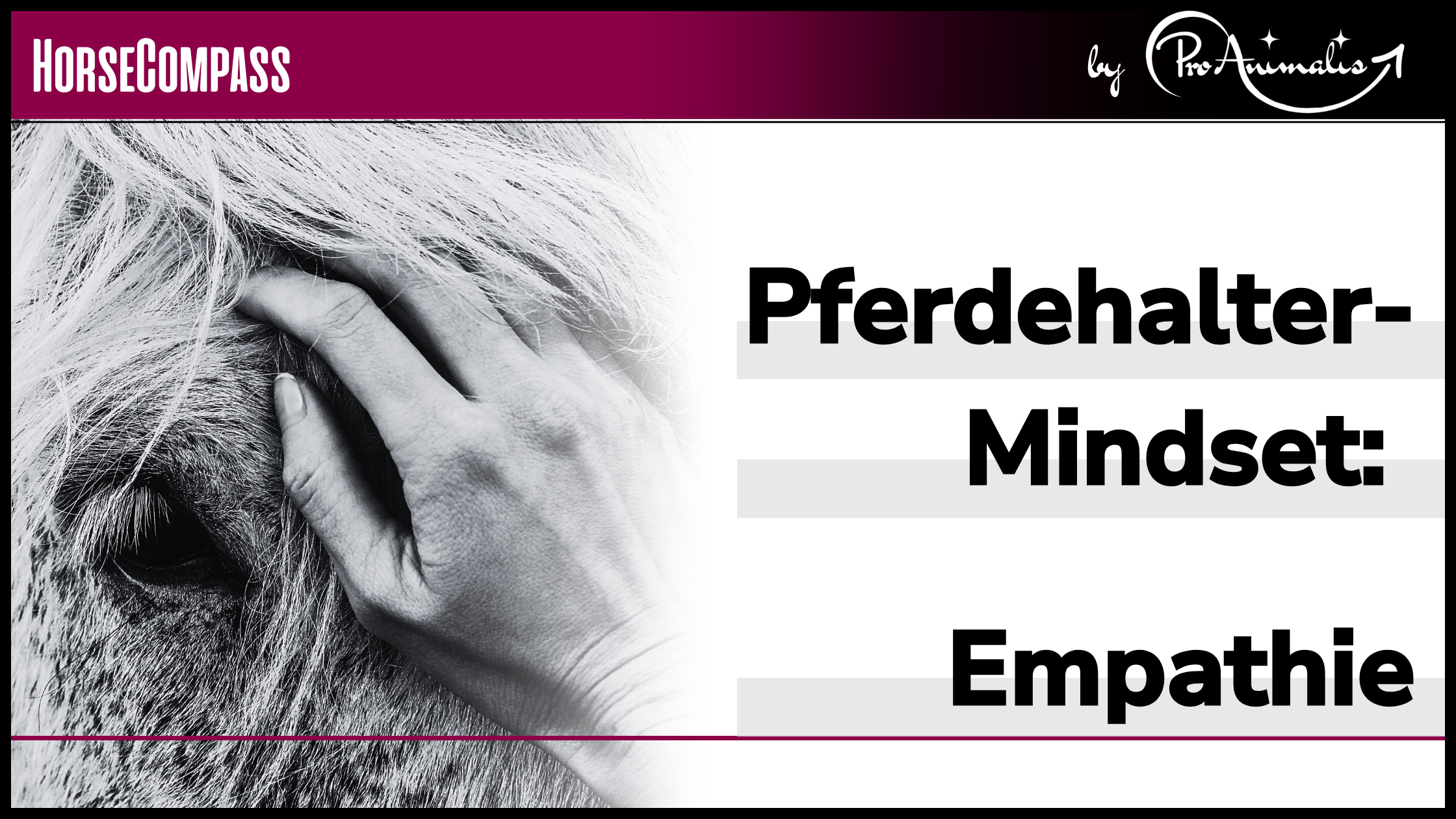 Du betrachtest gerade Pferdehalter-Mindset, Teil 2 – Empathie