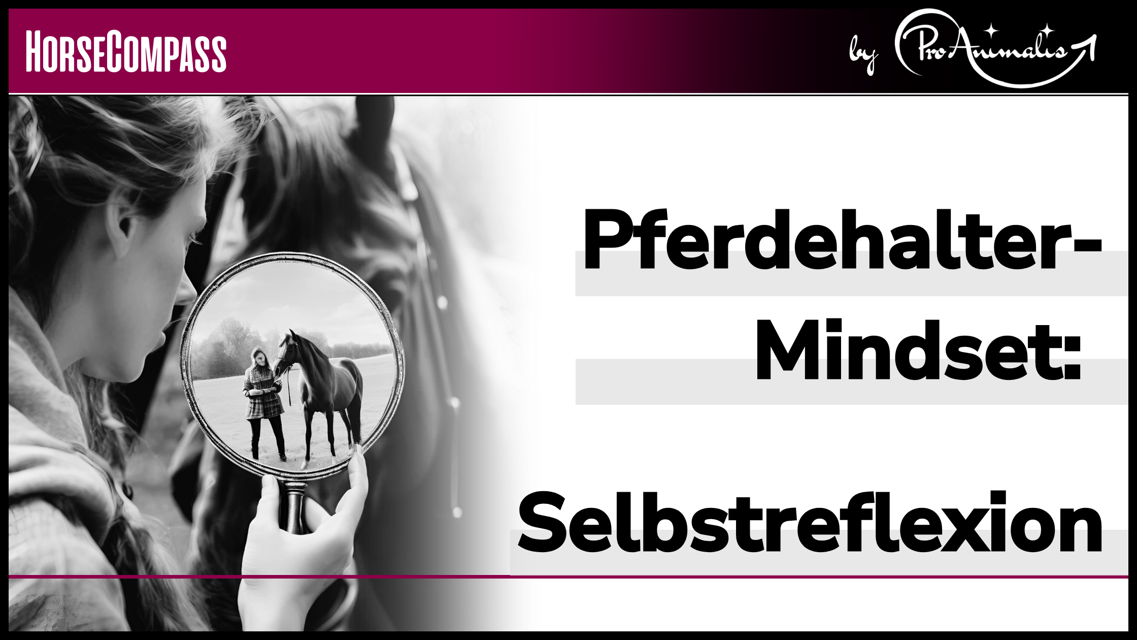 Du betrachtest gerade Pferdehalter-Mindset, Teil 1 – Selbstreflexion