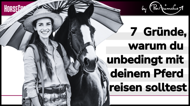 Mehr über den Artikel erfahren 7 Gründe, warum du unbedingt mit deinem Pferd reisen solltest