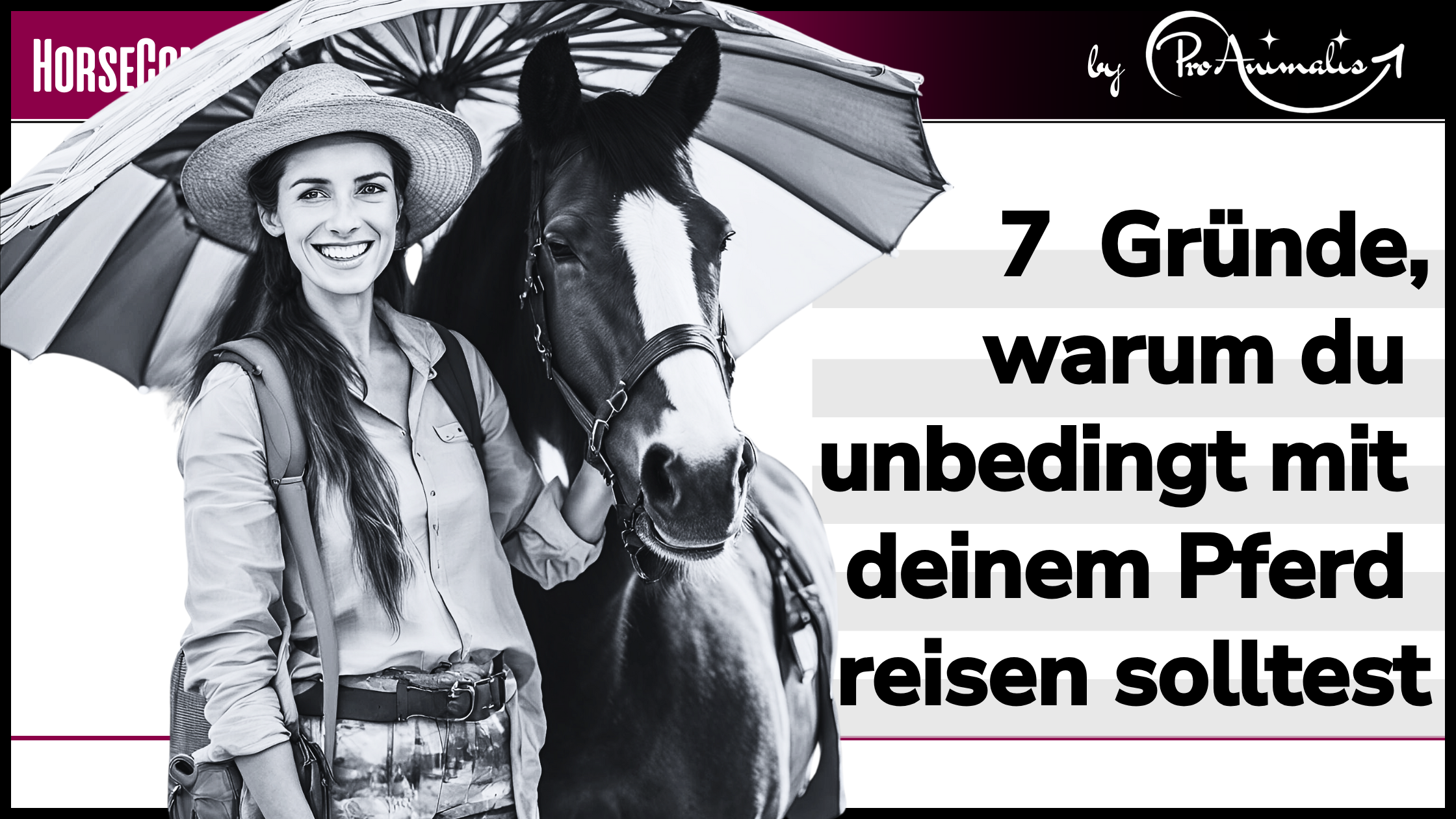 Du betrachtest gerade 7 Gründe, warum du unbedingt mit deinem Pferd reisen solltest